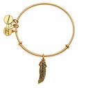 Alex and Ani Γυναικείο Βραχιόλι Επιχρυσωμένο 20 cm — A17EB25RG