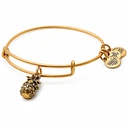 Women's Gold-Plated Bracelet 20cm A17EB26RG – Alex and Ani