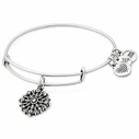 Women's Bracelet Alex and Ani A17EBCOMPRS 20cm