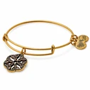 Alex and Ani Women's Gold-Plated Bracelet 20cm (A17EBEKRG)