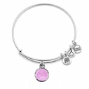 Γυναικείο Βραχιόλι 19cm A19EB45SS Alex and Ani