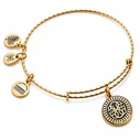 Alex and Ani Gold-Plated Necklace with Diamond - A19EBPL04RG