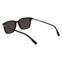 Lacoste Men's Sunglasses L6035S-230 Brown Frame Brown Lens (53/18/145 mm)