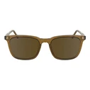 Zeiss Men's Sunglasses ZS24545S-200 — Brown Acetate Frame, Brown Lenses (53/19/145 mm)