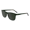 Zeiss Men's Sunglasses ZS25557S-301 Green Frame & Green Lenses 58/17/145 mm