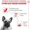 ROYAL CANIN French Bulldog Loaf 12x85g - Βρεγμένη τροφή για ενήλικους Γαλλικούς Μπουλντόγκ