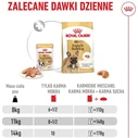 ROYAL CANIN French Bulldog Loaf 12x85g - Βρεγμένη τροφή για ενήλικους Γαλλικούς Μπουλντόγκ