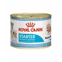 Royal Canin Starter Υγρή Τροφή για Κουτάβια σε Κονσέρβα Διαίτης με Κρέας 195gr 2608004