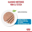 Royal Canin Starter Υγρή Τροφή για Κουτάβια σε Κονσέρβα Διαίτης με Κρέας 195gr 2608004