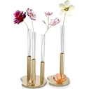 Swarovski Διακοσμητικό Βάζο Γυάλινο Χρυσό Ø7 x Υ16 cm (Garden Tales)