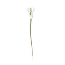 Swarovski Διακοσμητικό Γυάλινο Λουλούδι Calla Lily (Garden Tales) 25.1 cm – Champagne gold tone