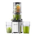 Amzchef CE-ZM1902M-SV Slow Masticating Juicer Silver
