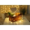 Modee 100 LED 5m Warm White Battery String Lights ML-C1011