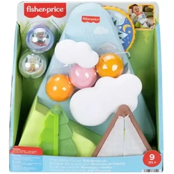 Fisher Price Friendship Forest Ball Mountain