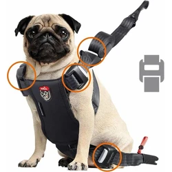 Zolux Travel Safe S Red Dog Harness (Small Breed, Size S)