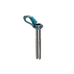 Screw (Plain) - 1 pc (No Brand)