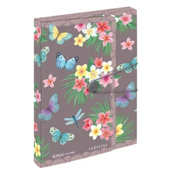Herlitz Sammelbox A4 PP Ladylike Butterflies - Κουτί αρχειοθέτησης A4 από PP με σχέδιο πεταλούδες