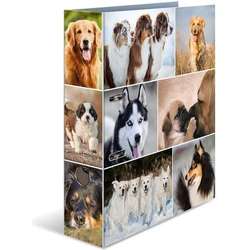HERMA A4 Ring Binder - Dogs Motif, 70 mm Spine