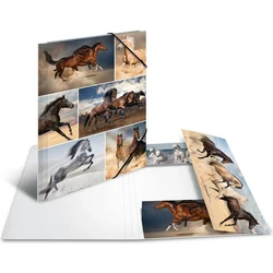 HERMA Sammelmappe A4 Pferde - Cardboard A4 Folder with Elastic (Horses)