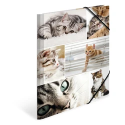 HERMA Sammelmappe A4 - Cat A4 Cardboard Folder