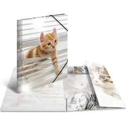 HERMA A4 Glossy Polypropylene Folder - Cat Design