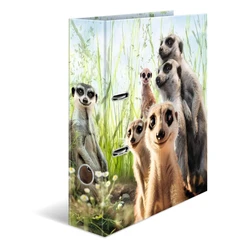 HERMA A4 Cardboard/Plastic Binder - 'Erdmännchen' (Meerkat) design