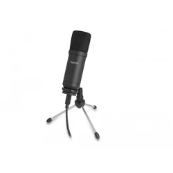 DeLOCK Επαγγελματικό USB Πυκνωτικό Μικρόφωνο 24 Bit / 192 kHz (MPN 66882)
