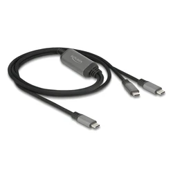 DeLOCK USB-C Y-Cable 1 x Plug to 2 x Plugs PD 3.0 100W 1.2 m (Model 81271)
