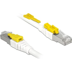 Delock Καλώδιο RJ45 Secure Cat.6A S/FTP 5 m