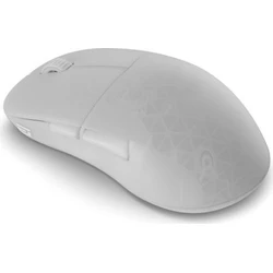 Endgame Gear XM2w 4k V2 Άσυρματο Gaming Ποντίκι 30000 DPI White Frost