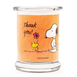 Peanuts Snoopy και Woodstock Αρωματικό Κερί 'Thank You' σε Βάζο Λευκό 250gr A1830