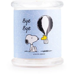Peanuts Snoopy and Woodstock Αρωματικό Κερί Bye Bye σε Βάζο 250gr