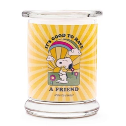 Peanuts Snoopy and Woodstock Αρωματικό Κερί A Friend σε Βάζο Λευκό 250gr