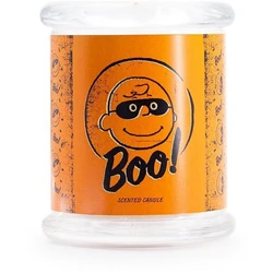 Peanuts Snoopy and Woodstock Αρωματικό Κερί σε Βάζο 250gr