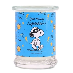 Peanuts Snoopy and Woodstock Αρωματικό Κερί You're My Superhero σε Βάζο 250gr
