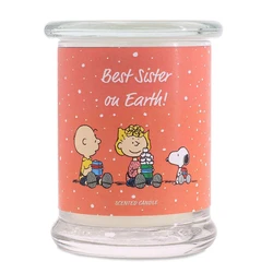 Peanuts Snoopy Αρωματικό Κερί Best Sister On Earth σε Βάζο Καφέ 250gr