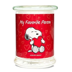 Peanuts Snoopy και Woodstock Αρωματικό Κερί My Favorite Person σε Βάζο 250gr A2161