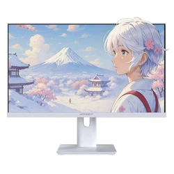 Japannext JN-I238FHD120F-HSP-W 23.8" FHD IPS Gaming Monitor 120Hz