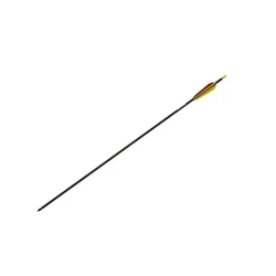 Poe Lang 28' Fibreglass Arrows Set 5 (D-055-B3)