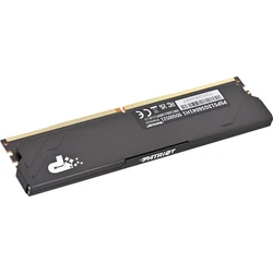 Pat Says Now Premium DDR5 12GB (1x12GB) 5600MHz για Desktop