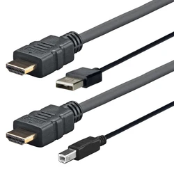 Vivolink HDMI Cable HDMI male - HDMI male / USB-A male 4m Black (PROHDMIUSBAB4)