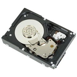 Dell 2TB NL6 3.5" SATA III 7200 RPM Internal HDD for Server - Model 1D9NN