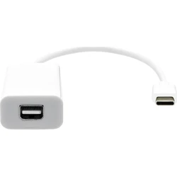 Προσαρμογέας USB Proxtend USB-C σε Mini DP 20cm Λευκό