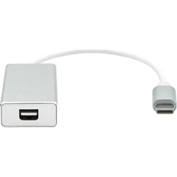 Προσαρμογέας USB Proxtend USB-C σε Mini DisplayPort 20cm Ασημί