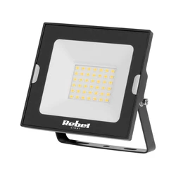 Rebel Προβολέας LED 30W 4000K IP65 42x SMD2835 DM-3614