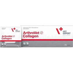 VetExpert ArthroVet Collagen Multivitamin Powder for Dogs, 2.5 g Sachet — Joint Support