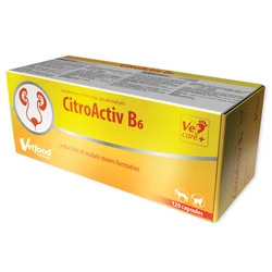 Vetfood Calcium Tablets for Dogs — Gastrointestinal Disorders (170591)