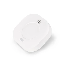 Entac Smart Carbon Monoxide (CO) Detector with WiFi (TUYA)