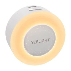 Sensor Emergency Ceiling Light / Smart Ceiling Lamp (YLYYD-0025)