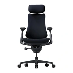 LiberNovo Omni Office Chair with Adjustable Arms, Black